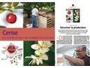 Numéro Spécial Cerise dans l'Arboriculture Fruitière - AOP Cerises de France